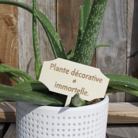 Etiquette plante