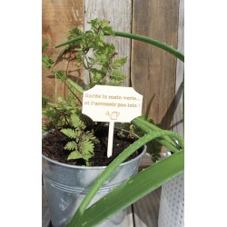 Etiquette plante