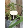 Etiquette plante