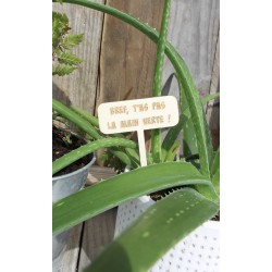 Etiquette plante