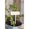 Etiquette plante