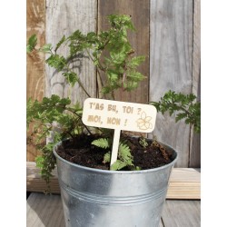 Etiquette plante