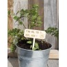 Etiquette plante