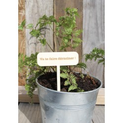 Etiquette plante