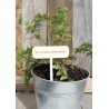 Etiquette plante