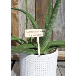 Etiquette plante